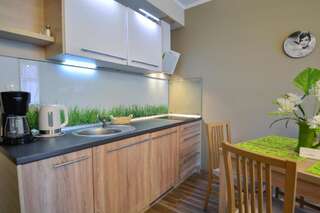 Апартаменты Apartamenty na Wyspie - Villa Pegaz Свиноуйсьце One-Bedroom Apartment with Free Parking - 22-8